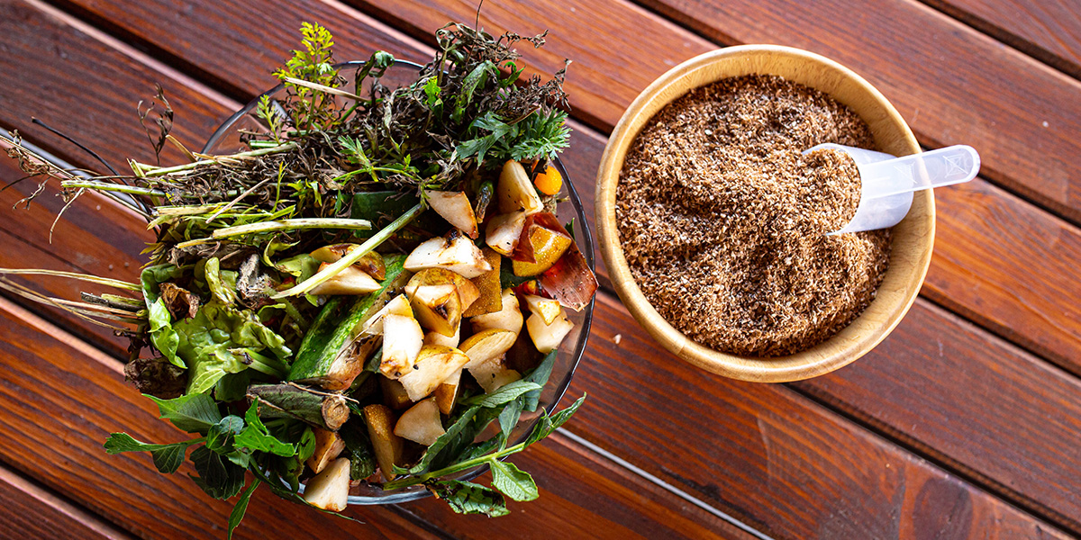 Prevent a smelly food waste bin with a proper indoor composter